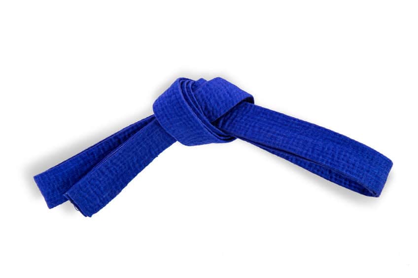 blue belt requirements